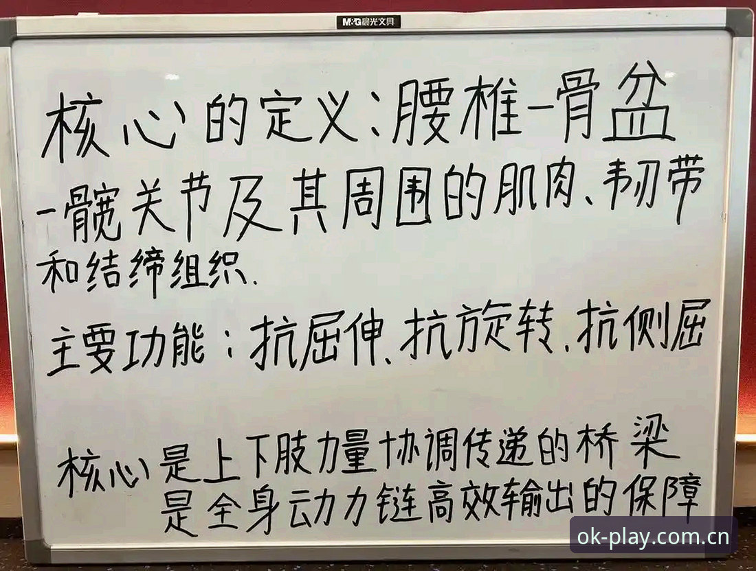 资深用户手把手教你OK体育平台使用心得：从入门到熟练